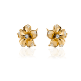 LA FLEUR CRYSTAL STUD Örhängen - Vit
