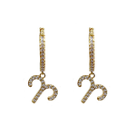 Zodiac Sparkle Micro Hoop