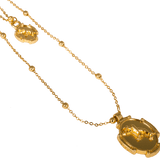 Spirit Animal Twin Necklace