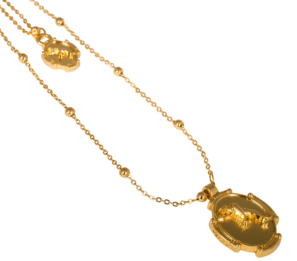 Spirit Animal Twin Necklace