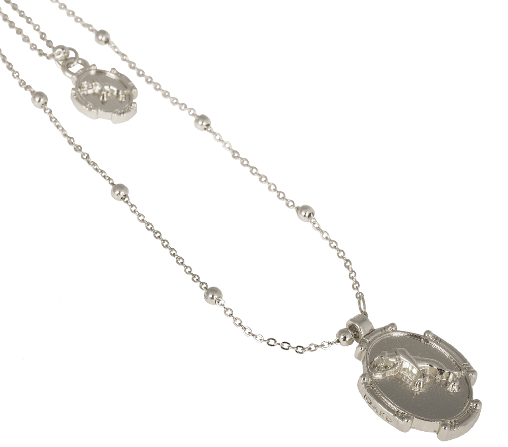 Spirit Animal Twin Necklace