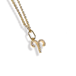 Zodiac Sparkle Micro Necklace