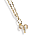 Zodiac Sparkle Micro Necklace