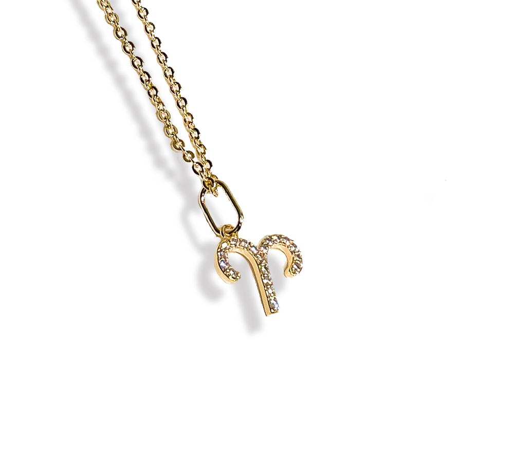 Zodiac Sparkle Micro Necklace