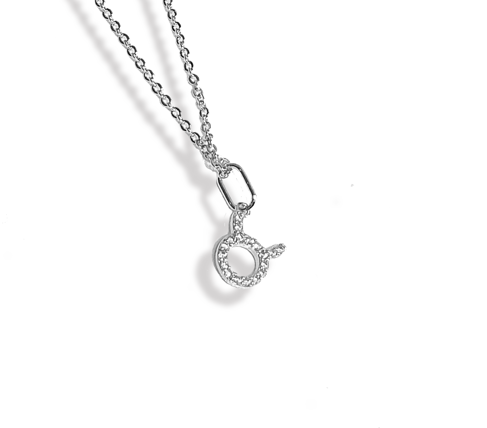 Zodiac Sparkle Micro Necklace