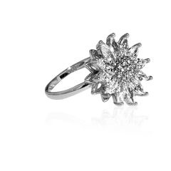 QUEEN BI - STAR GUIDANCE RING Vit