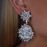 BERRY SPLASH EARRINGS