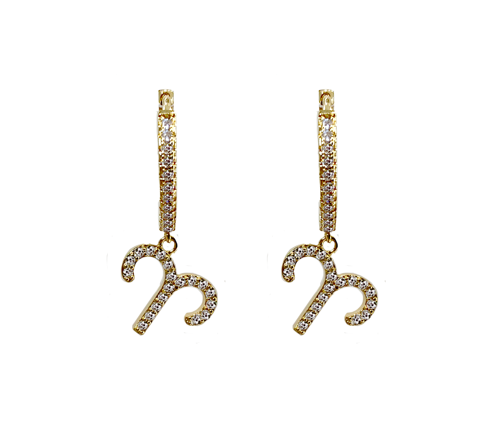 Zodiac Sparkle Micro Hoop