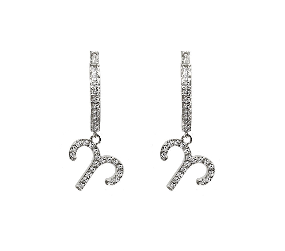 Zodiac Sparkle Micro Hoop