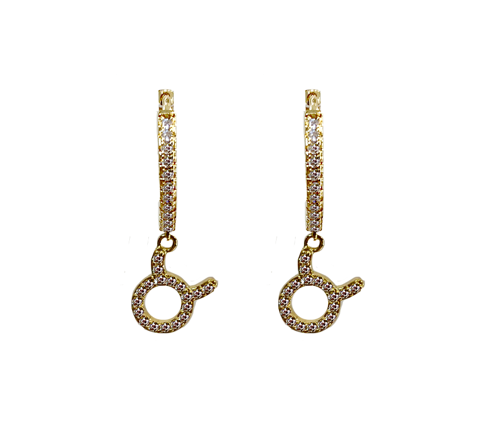 Zodiac Sparkle Micro Hoop