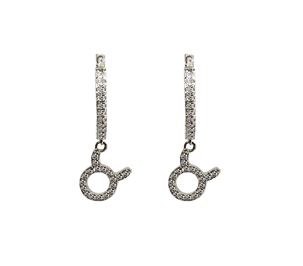 Zodiac Sparkle Micro Hoop