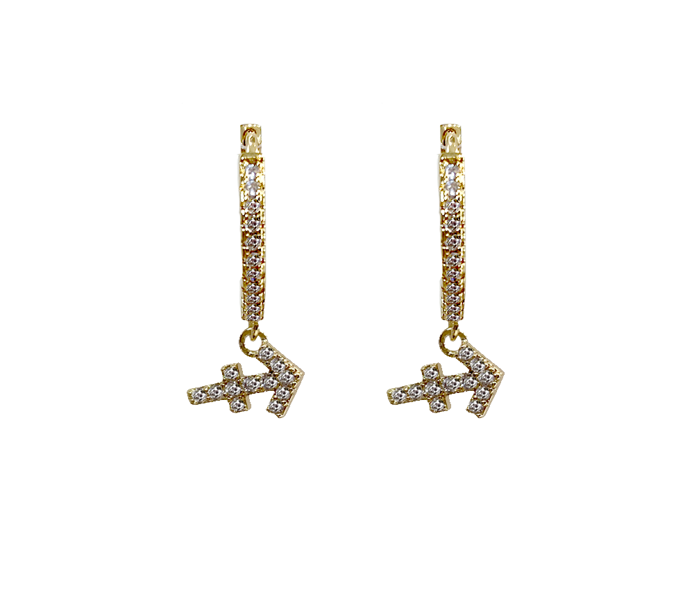 Zodiac Sparkle Micro Hoop