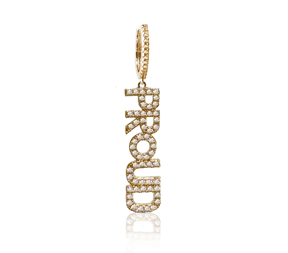 STATEMENT PROUD SINGLES EARRINGS