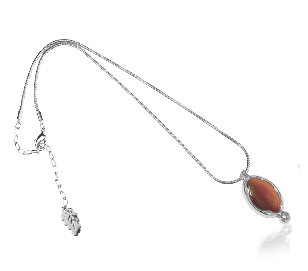 OYSTER AMULET 45 Walnut Brown
