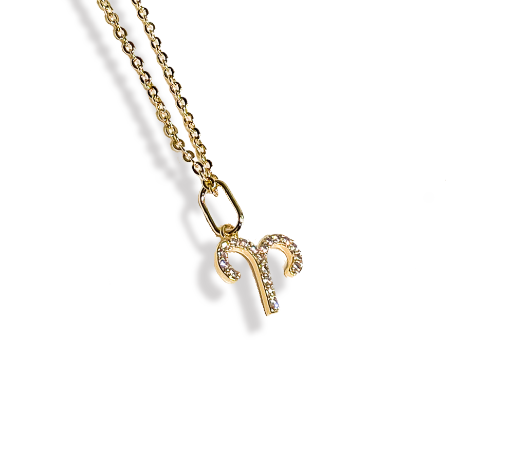 Zodiac Sparkle Micro Necklace
