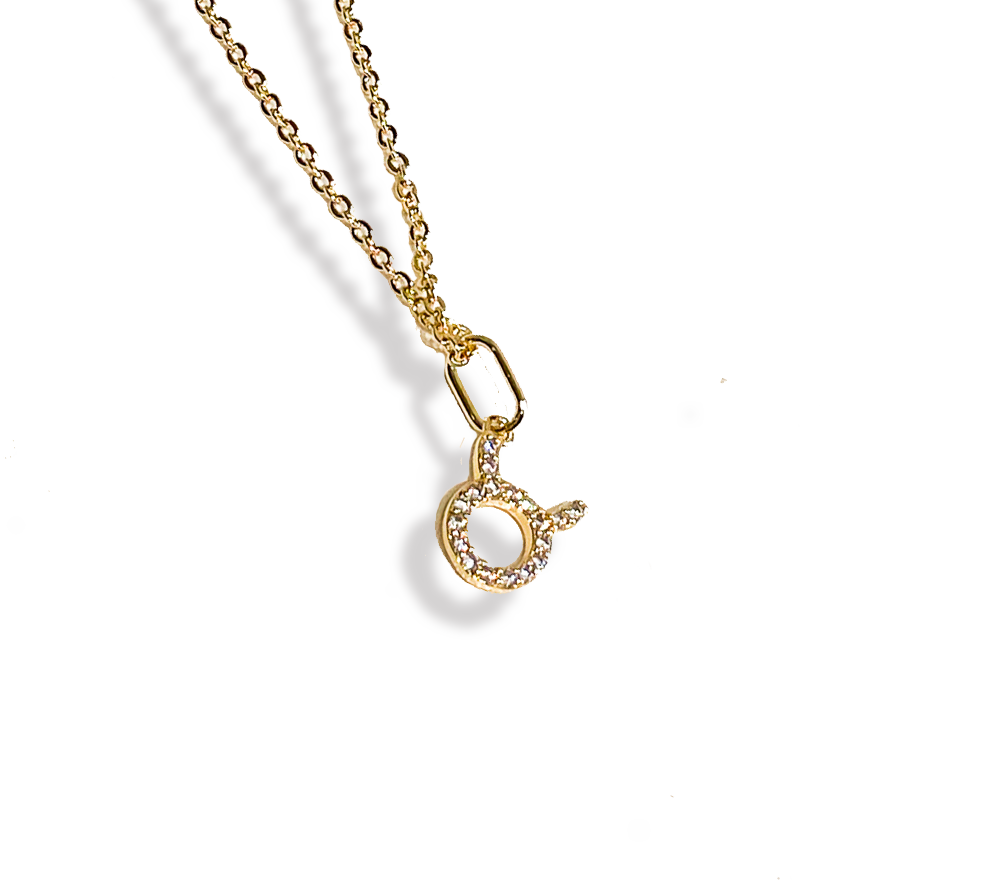 Zodiac Sparkle Micro Necklace