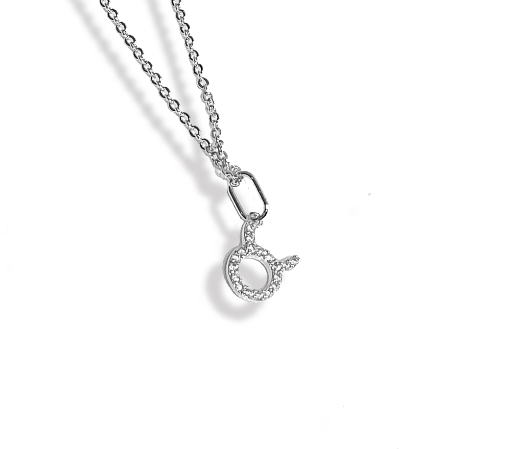 Zodiac Sparkle Micro Necklace